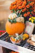 Autumn Plein Air at Grelen at The Market at Grelen