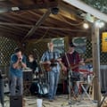 Live Music: Bluzonia at Brewing Tree Beer Company