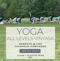 Vinyasa Yoga at Chisholm Vineyards