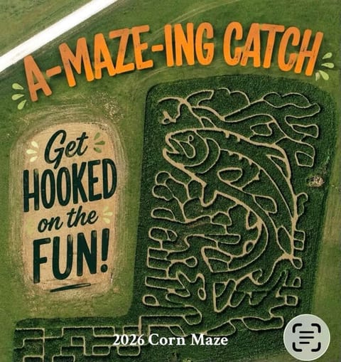 Blue Ridge Mountain Maze Corn Maze & Fall Festival at Blue Toad Hard Cider