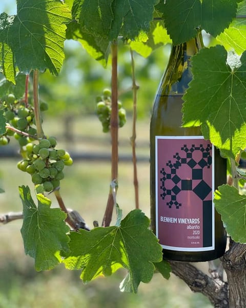 Cry Babies Live at Blenheim Vineyards