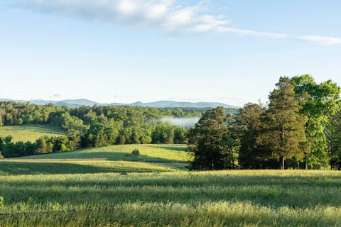 Guided Farm & Vineyard Walk at Oakencroft Farm & Winery