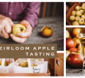 Heirloom Apple Tasting at Albemarle Ciderworks