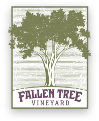 Ken Harrington — Solo Acoustic at Fallen Tree Vineyard