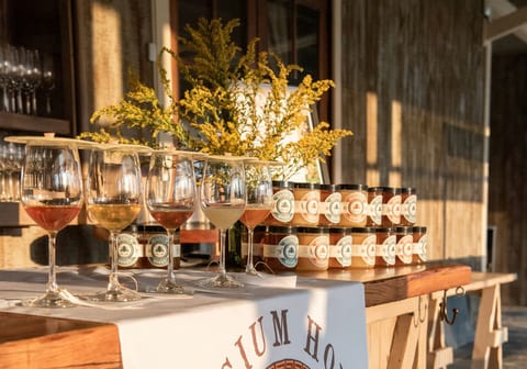 Max Mandu Live Music at Pippin Hill Farm & Vineyard