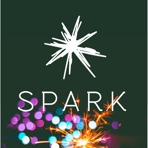 Spark Studio Permanent Jewelry Pop-Up at Fallen Tree Vineyard