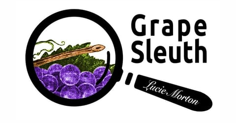 Special Free Presentation by Lucie Morton