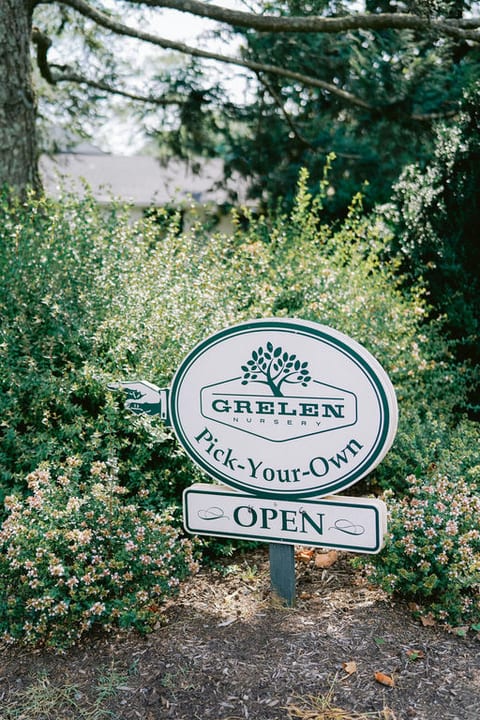 The Grelen Orchard - Peach Trees