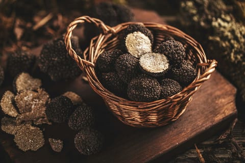 Truffle Lunch at Barboursville Vineyards
