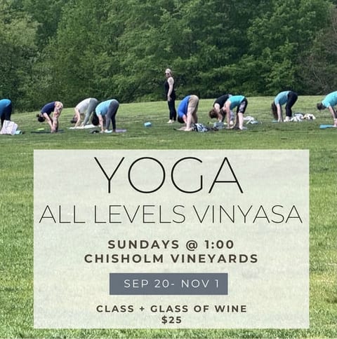 Vinyasa Yoga at Chisholm Vineyards