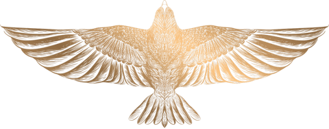 Montifalco Vineyard logo